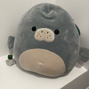 Matt 14" squishmallows